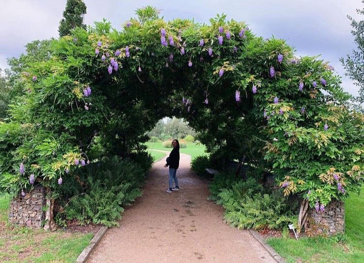 9 Taman Indah di Utrecht, Belanda yang Penuh dengan Tanaman Cantik