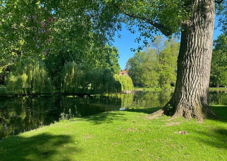 9 Taman Indah di Utrecht, Belanda yang Penuh dengan Tanaman Cantik