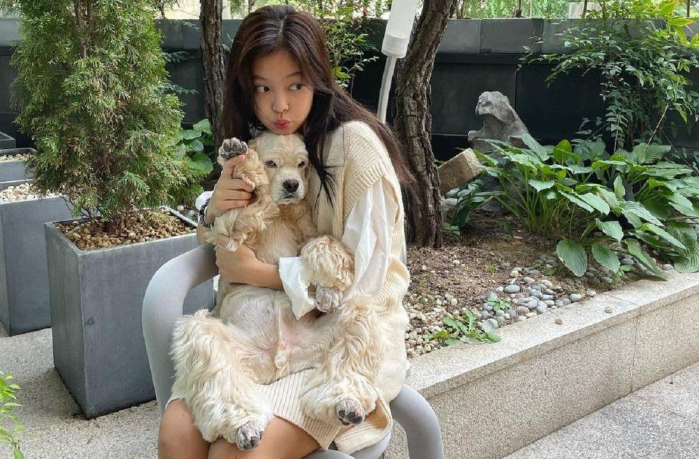 Anjing Peliharaan Jennie Blackpink