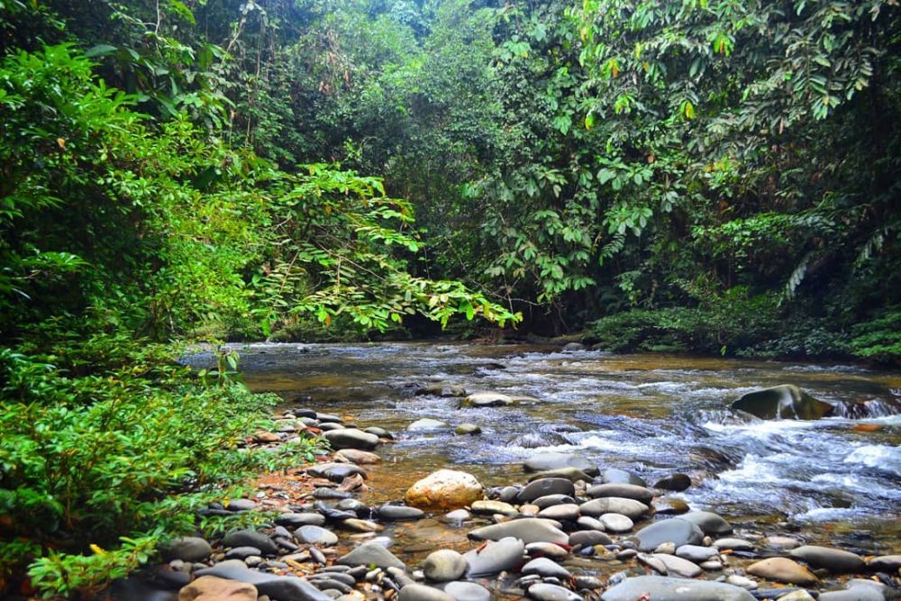5 Tempat Wisata Favorit di Kapuas Hulu Kalbar, Pemandangannya Eksotis!