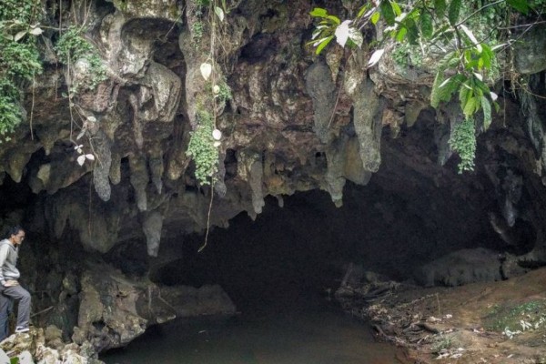 5 Tempat Wisata Paling Kece di Tapin Kalsel, Pemandangannya Juara! 