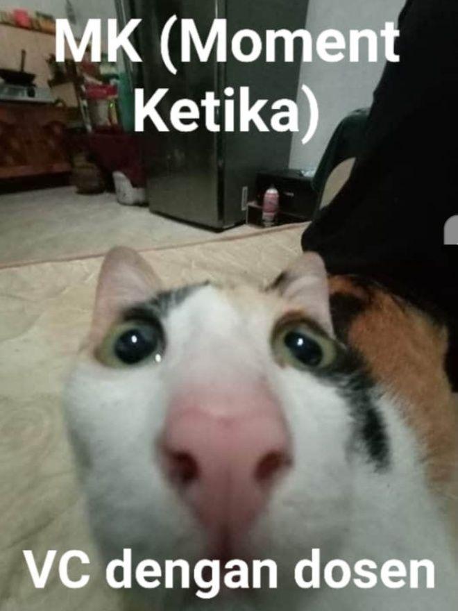 9 Ragam Parodi Meme Lucu Saat Video Call, Bikin Senyum Sendiri