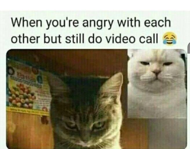 9 Ragam Parodi Meme Lucu Saat Video Call, Bikin Senyum Sendiri