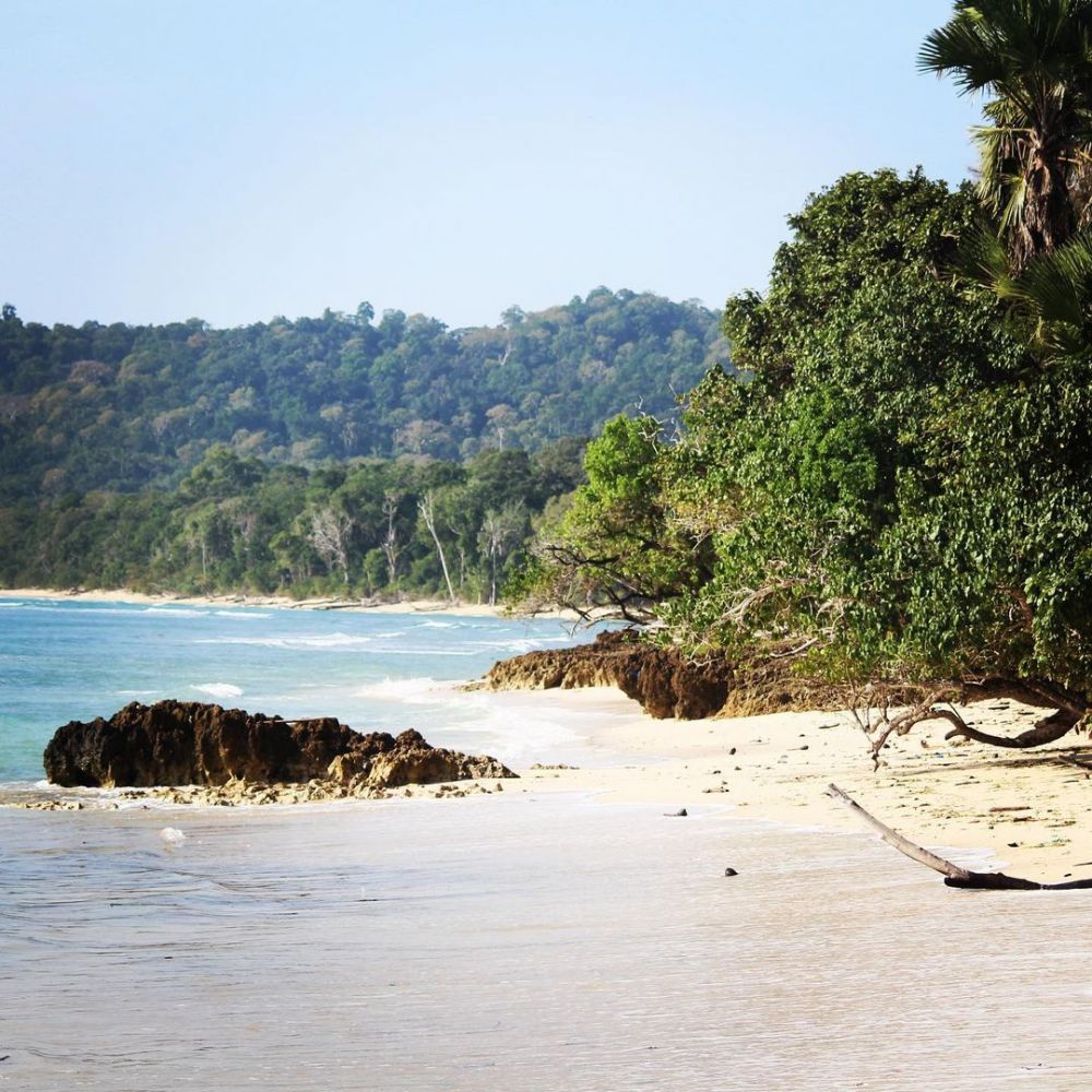 9 Potret Pantai Plengkung yang Punya Ombak Terbaik di Dunia