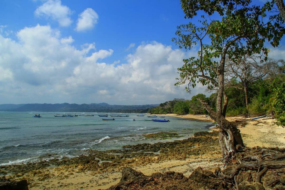 9 Potret Pantai Plengkung yang Punya Ombak Terbaik di Dunia