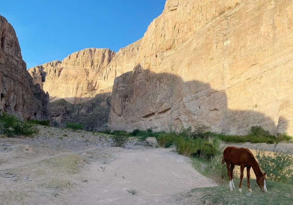 6 Lokasi Kemah Paling Keren di Amerika Serikat, Bikin Kebelet Liburan!