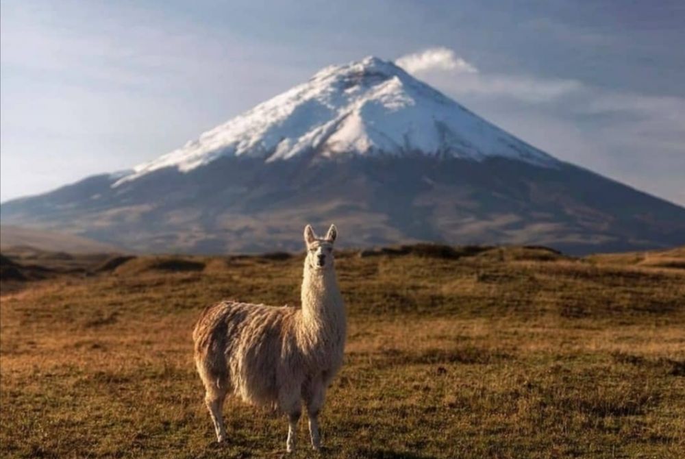 9 Potret Taman Nasional Cotopaxi di Ekuador, Penuh Pesona!