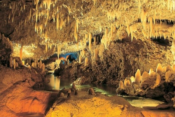 5 Destinasi Wisata Alam di Barbados yang Keindahannya Diakui Dunia