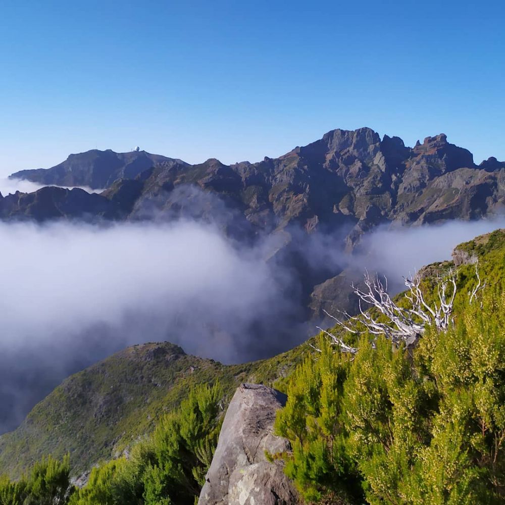 10 Destinasi Wisata di Madeira-Portugal yang Bikin Jatuh Hati 