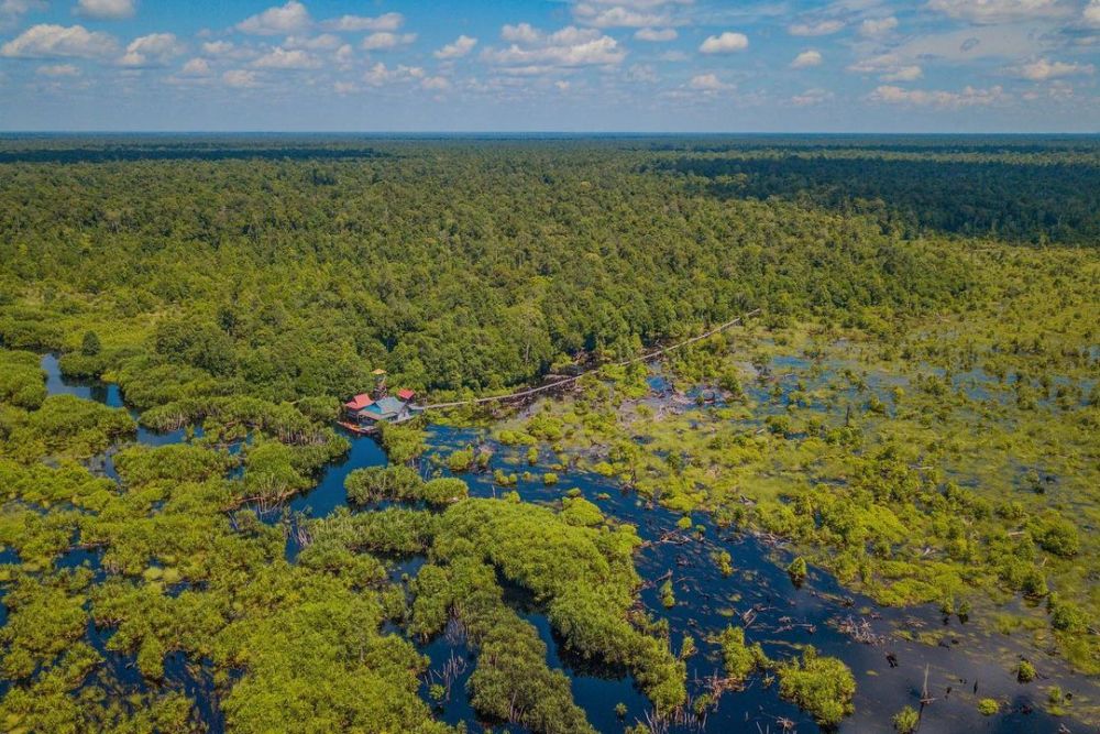 Taman Nasional Sebangau di Kalimantan Tengah