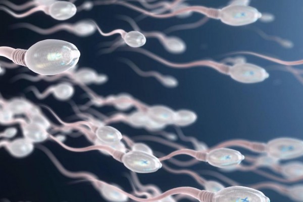 5 Tanda Pria Miliki Sperma Berkualitas, Terlihat dari Ciri Fisik
