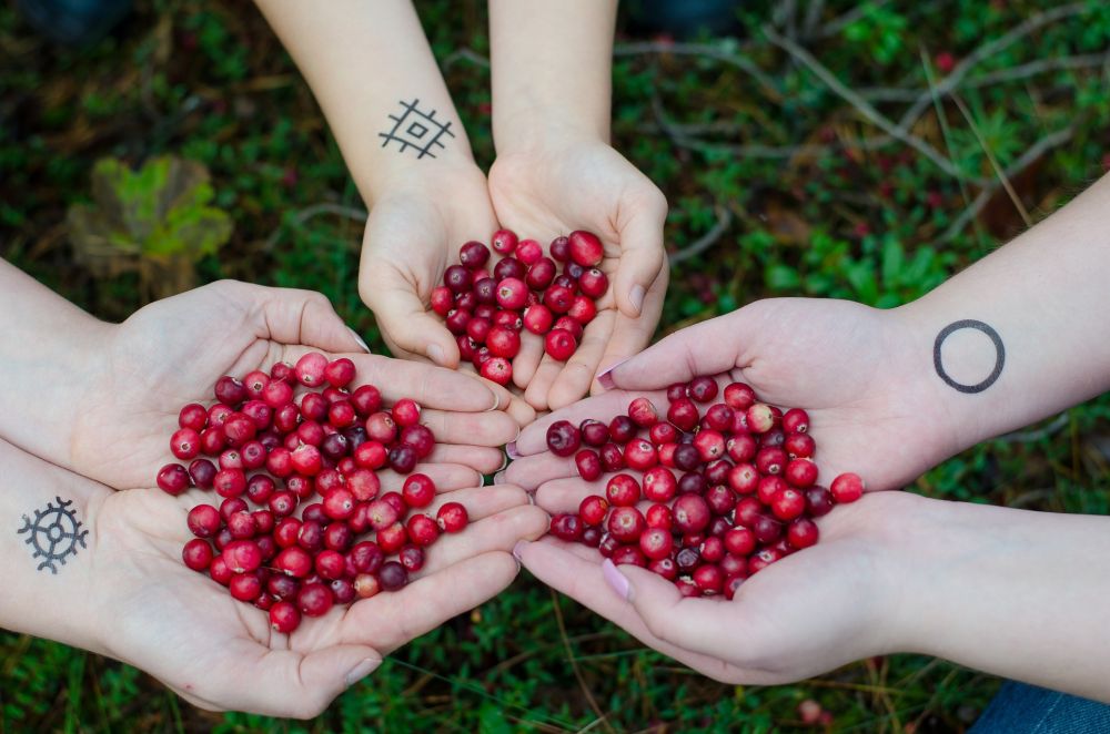 10 Jenis Buah Beri dan Manfaatnya untuk Kesehatan