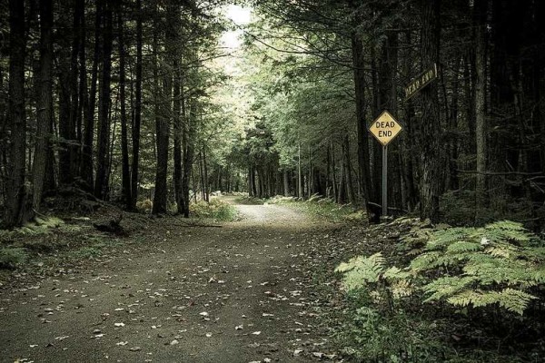 9 Hutan Paling Berhantu di Amerika Serikat, Jangan Masuk Sendirian!
