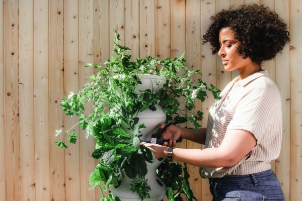 Hobi Berkebun? Ini 5 Manfaat yang Akan Kamu Dapatkan