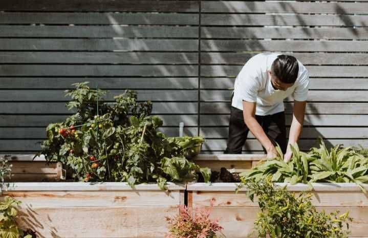 Hobi Berkebun? Ini 5 Manfaat Yang Akan Kamu Dapatkan