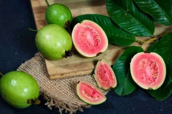 6 Manfaat Daun Jambu Biji Untuk Kesehatan