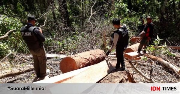 Setahun Dpo Pelaku Ilegal Logging Di Malang Menyerah