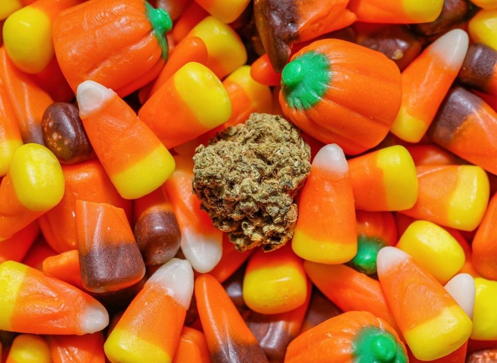 9 Trivia Candy Corn, Permen yang Identik dengan Perayaan Halloween.