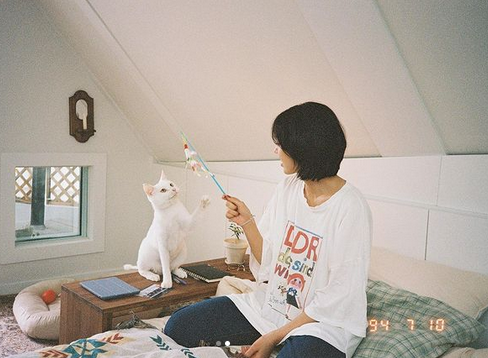 9 Potret Selebriti Korea bersama Kucing Kesayangan, Ada Lisa Blackpink