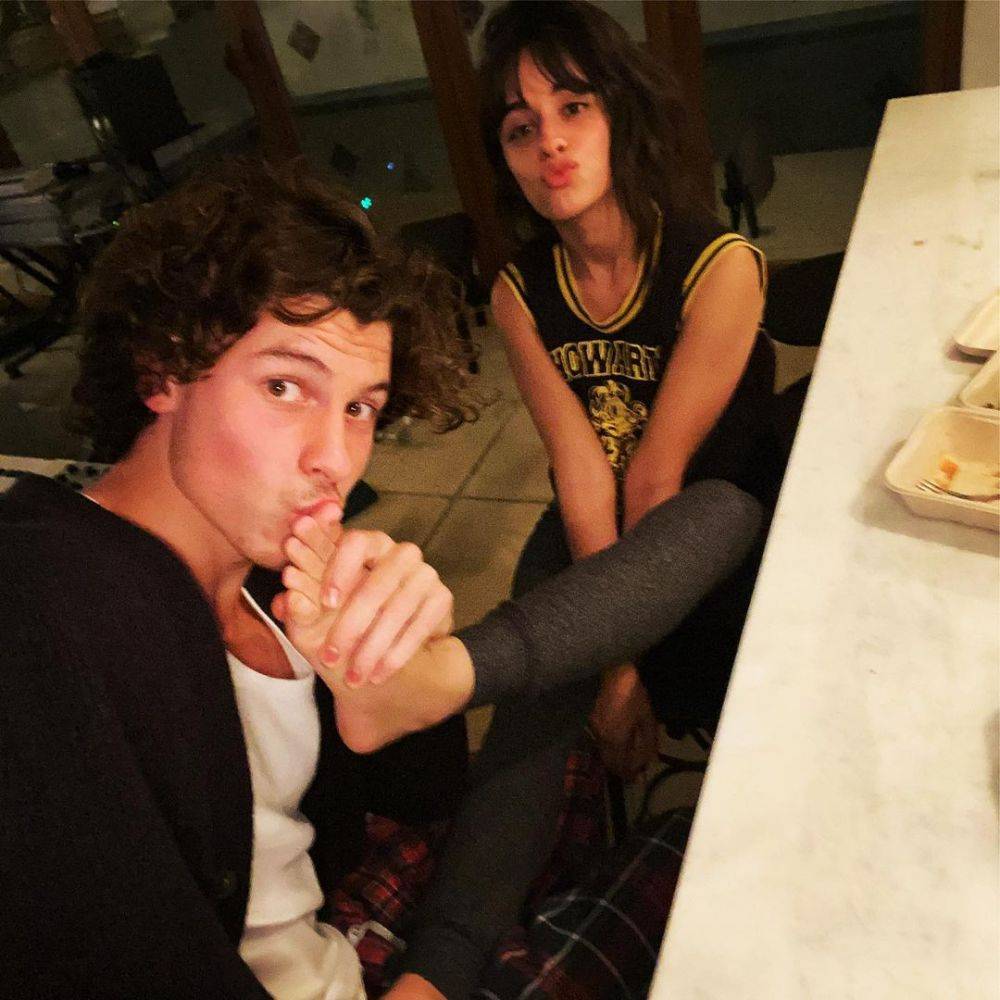 11 Perjalanan Cinta Camila Cabello Dan Shawn Mendes