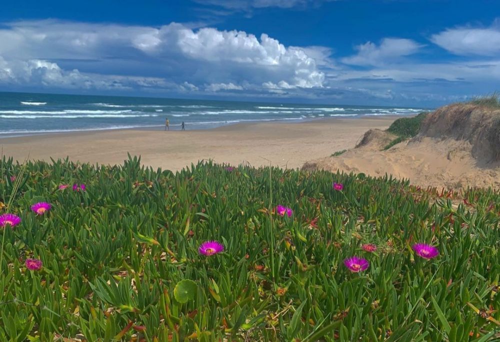 5 Pantai Paling Indah di Uruguay, Panoramanya Sulit Dilupakan!  