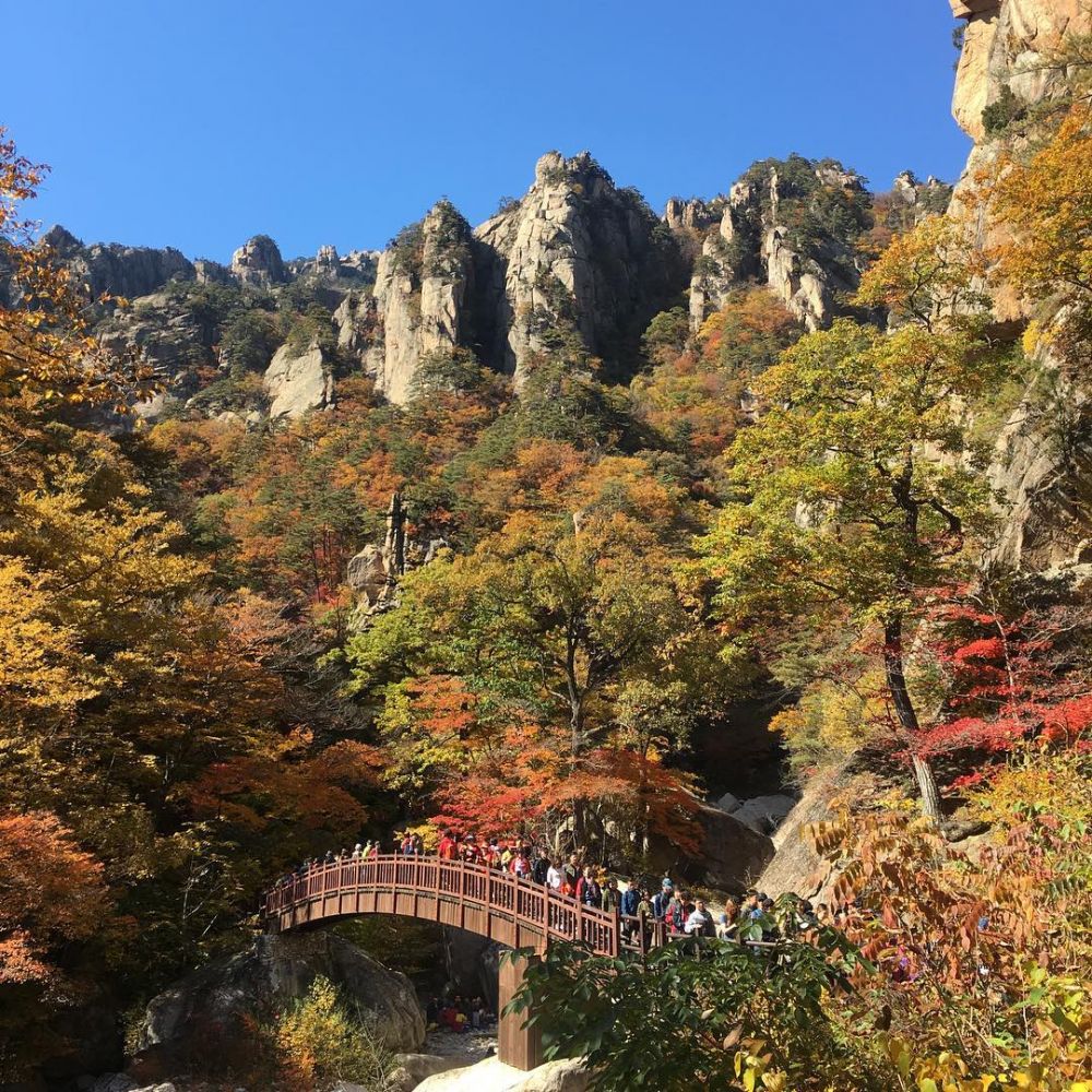 10 Objek Wisata di Gangwon-Korea Selatan, Ada yang Anti Mainstream