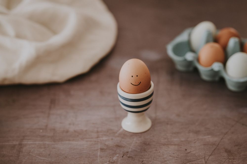 Harga Telur Turun, Rata-rata Harga Rp21 Ribu Per Kilogram di Jatim