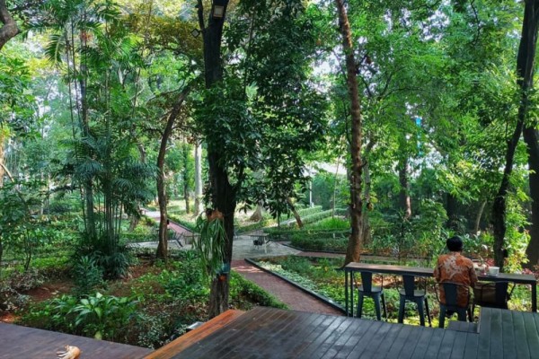 5 Tempat Makan di Jakarta dengan Nuansa Alam, Bikin Nyaman!