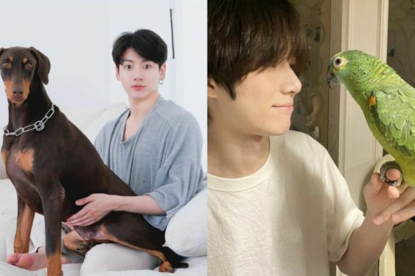 10 Peliharaan Idol Hybe Korea, Ada Anjing hingga Burung Beo!