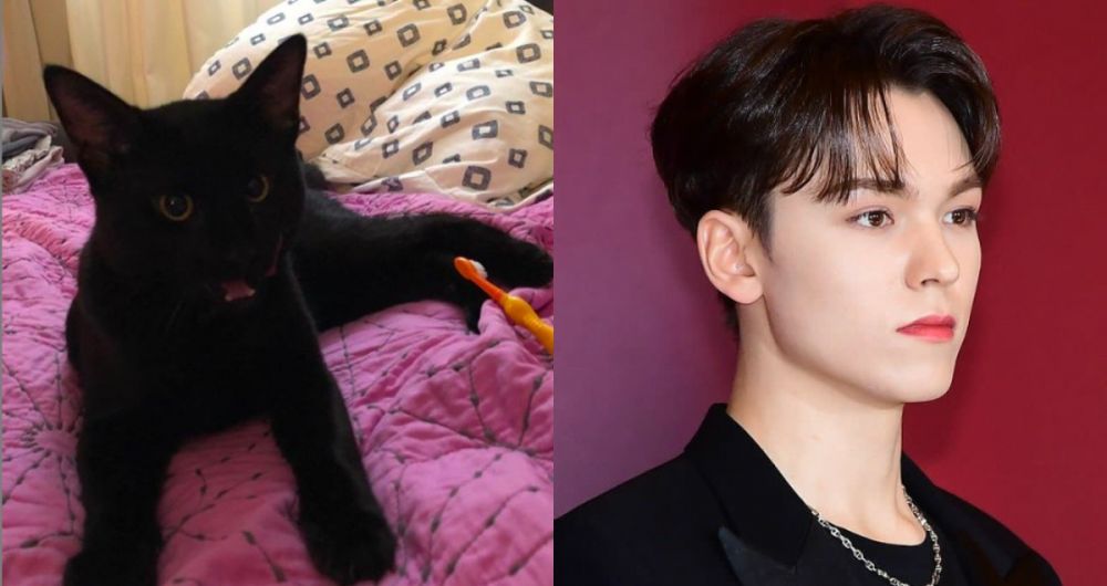 10 Peliharaan Idol Hybe Korea, Ada Anjing hingga Burung Beo!