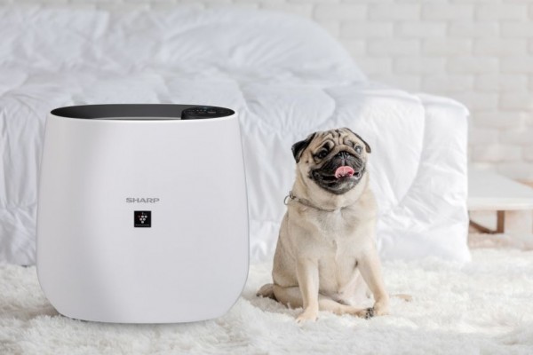 6 Tips Memilih Air Purifier Terbaik, Harus Ada Fitur Plasmacluster