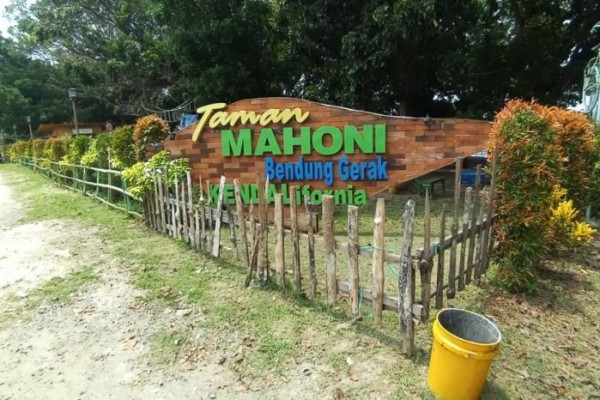 Taman Mahoni, Wisata Desa di Lamongan Tawarkan Permainan Tempo Dulu