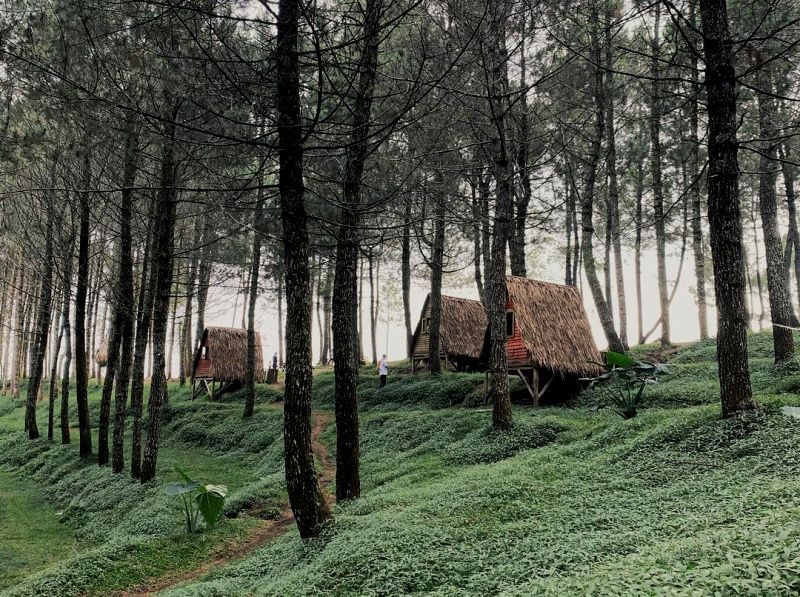 Pemkab Bandung Akan Kembangkan Potensi Objek Wisata Kawah Kamojang   