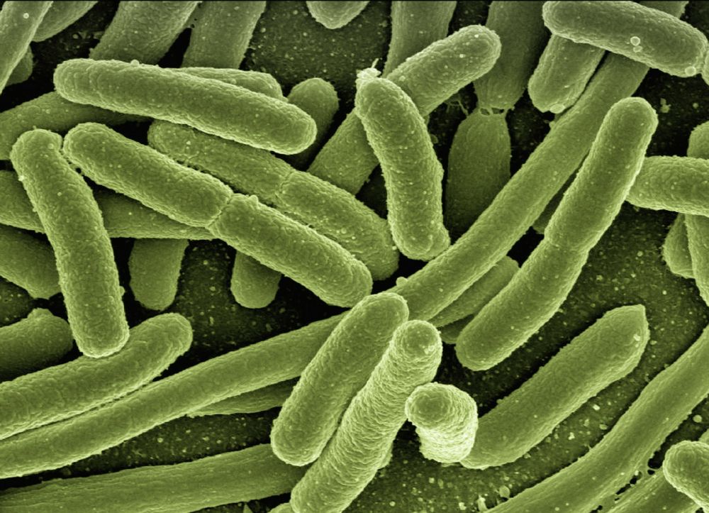 Waspadai Pandemi Tersembunyi akibat Resistensi Antibiotik 
