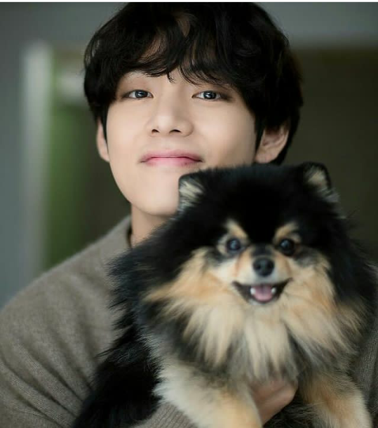 10 Peliharaan Idol Hybe Korea, Ada Anjing hingga Burung Beo!