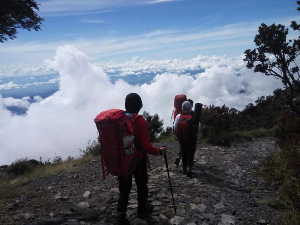 5 Alasan Mengapa Mendaki Gunung di Indonesia Lagi Digemari