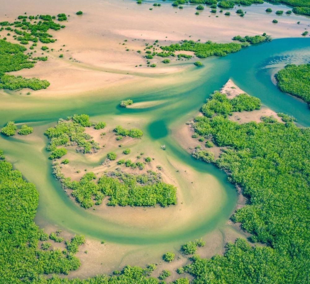 Wisata Alam di Senegal yang Tawarkan Panorama Epik Menakjubkan