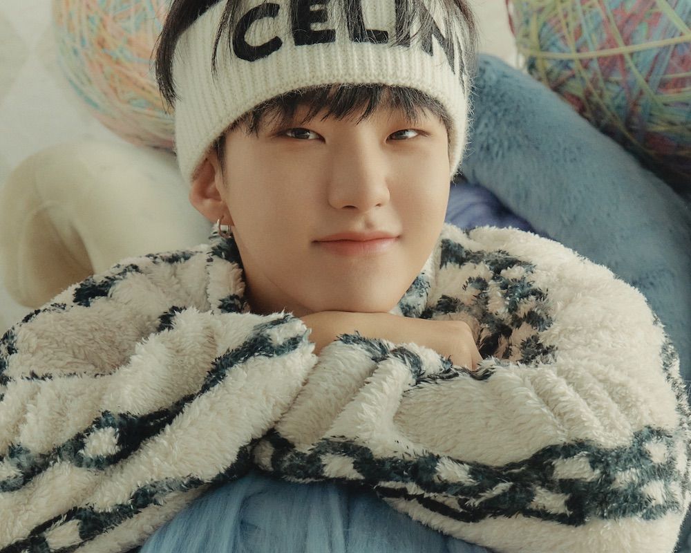 Profil Dan Biodata Hoshi Seventeen Si Bucin Harimau