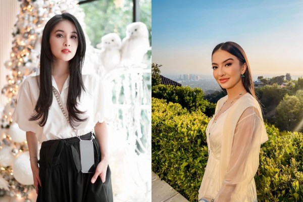 6 Artis yang Ternyata Pernah Kerja Kantoran, Direktur hingga Komisaris