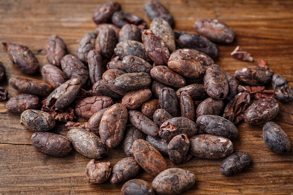 Pemkab Mahulu Mengembangkan Komoditas Kakao dalam Sektor Perkebunan