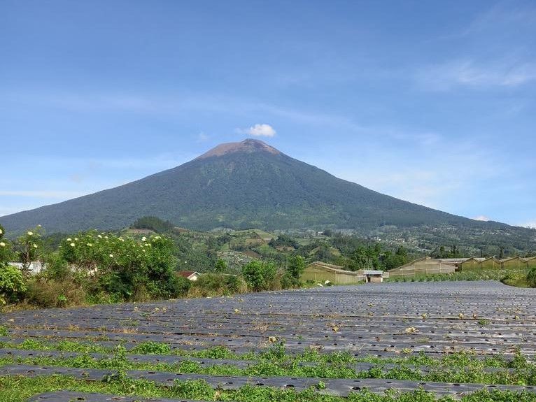 7 Fakta Gunung Slamet, Ada Mitos Pasar Hantu di Pos-pos Pendakian