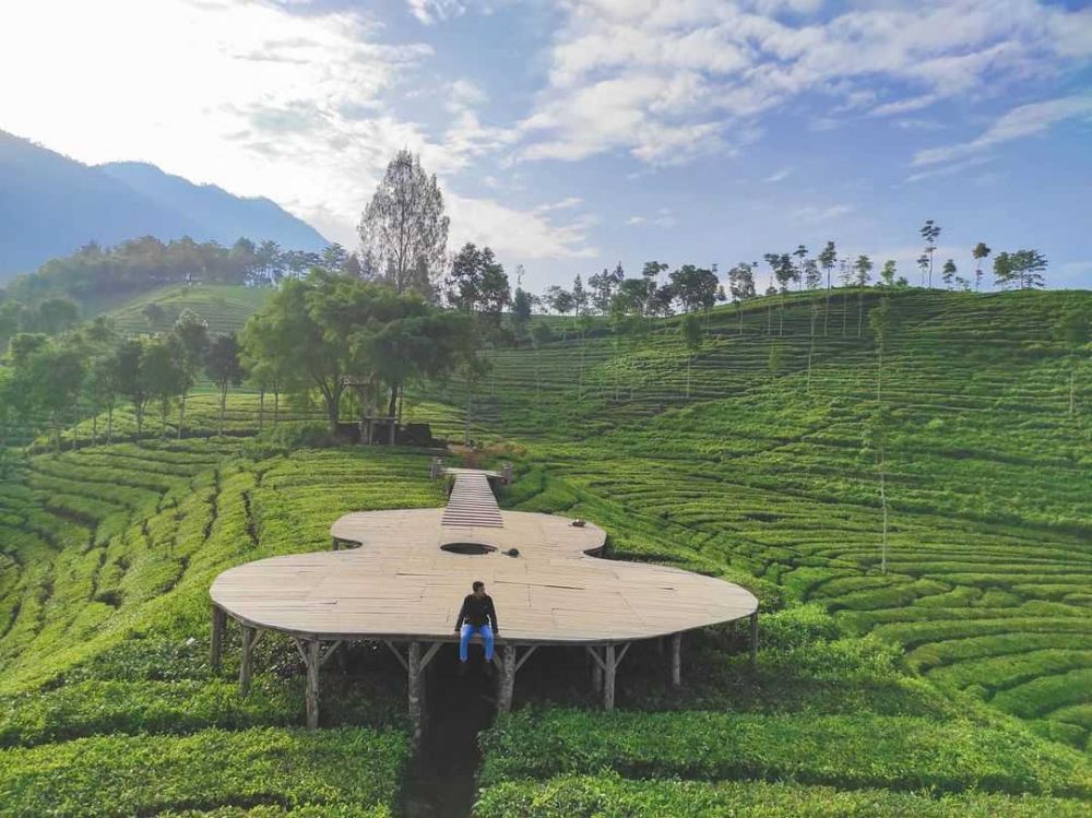 10 Kebun Teh Terindah di Indonesia, Udaranya Sejuk Banget!