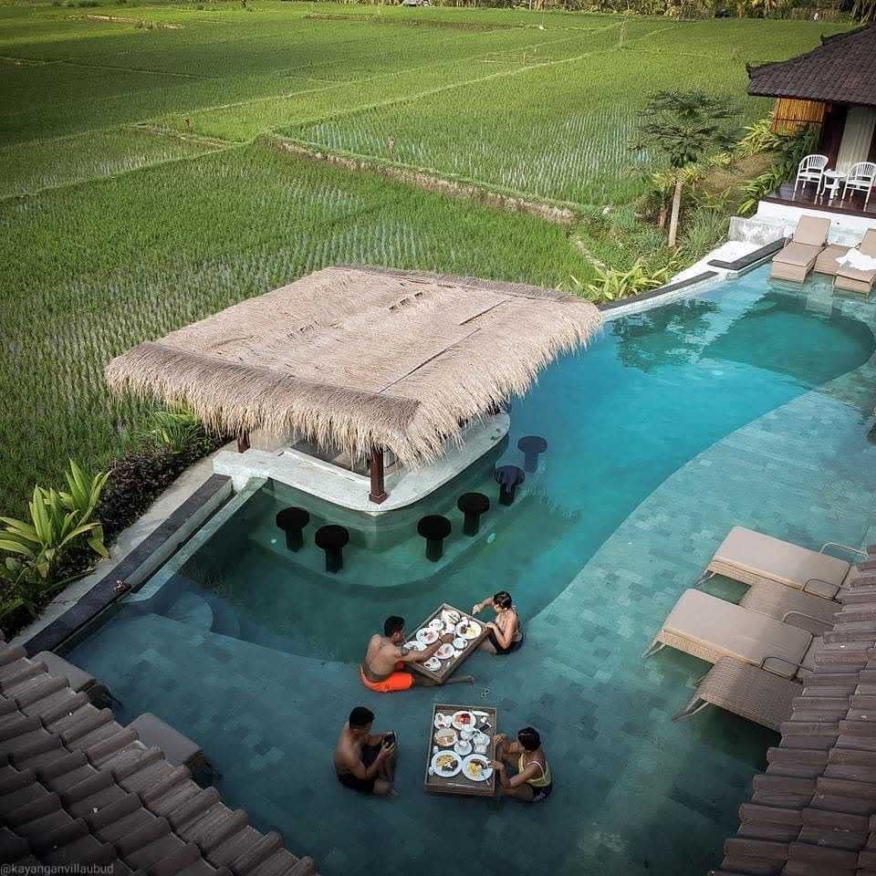 Vila dengan Pemandangan Sawah di Bali Suasananya Sejuk