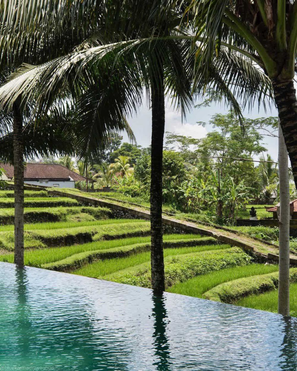 Suguhkan Ketenangan, 9 Keindahan Blue Karma Djiwa Villa di Ubud Bali