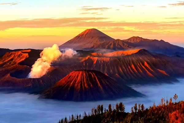 6 Aktivitas Seru Yang Bisa Kamu Lakukan Di Bromo