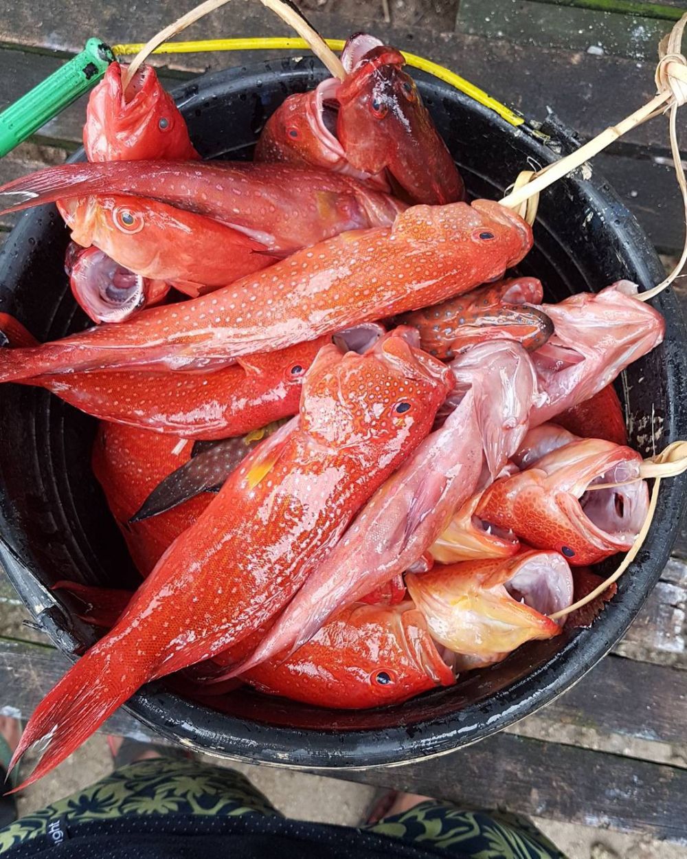 9 Potret Pantai Anggopi, Wisata Eksotis dan Menakjubkan di Biak Papua