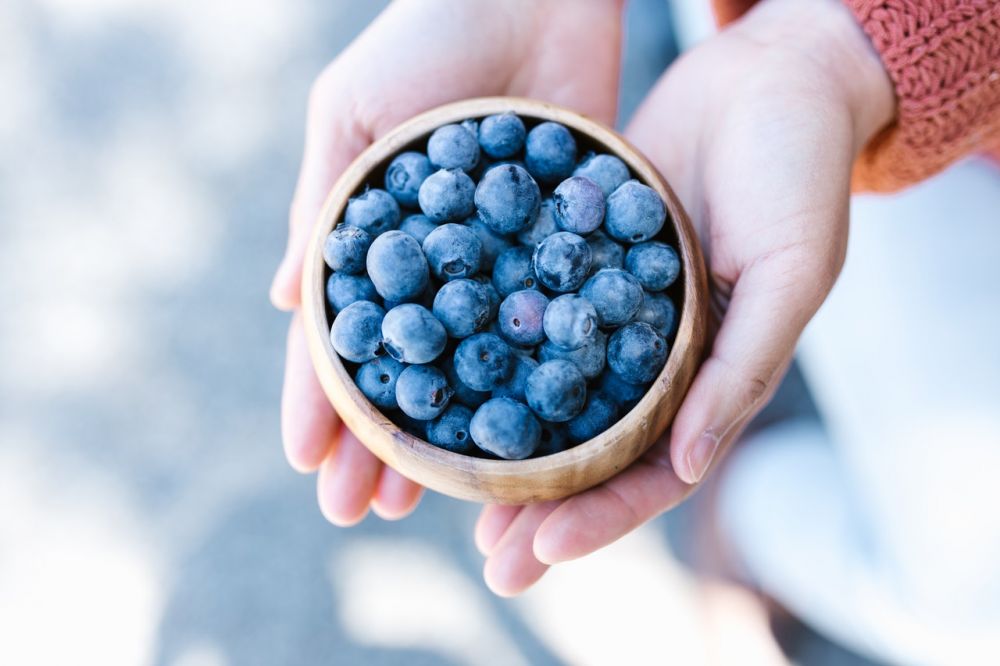 5 Manfaat Blueberry untuk Kesehatan, Turunkan Risiko Serangan Jantung!