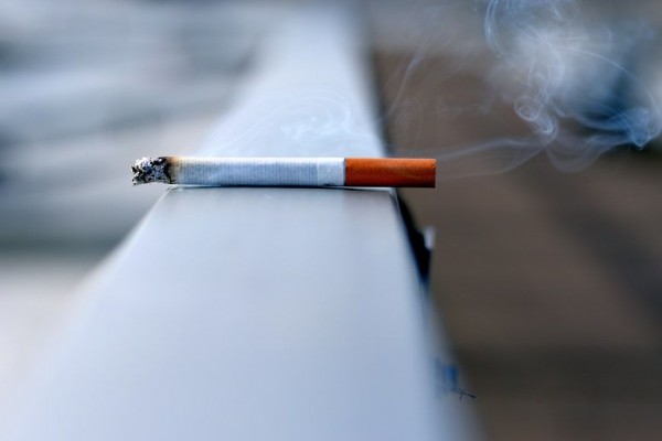 Gegara Puntung Rokok, Hutan Jati di Sumbawa Hangus Terbakar
