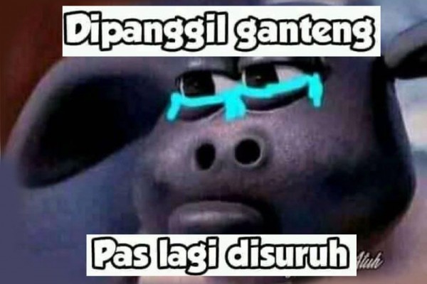 12 Meme Beragam Versi Cowok Ganteng, Harus Rambut Belah Tengah?