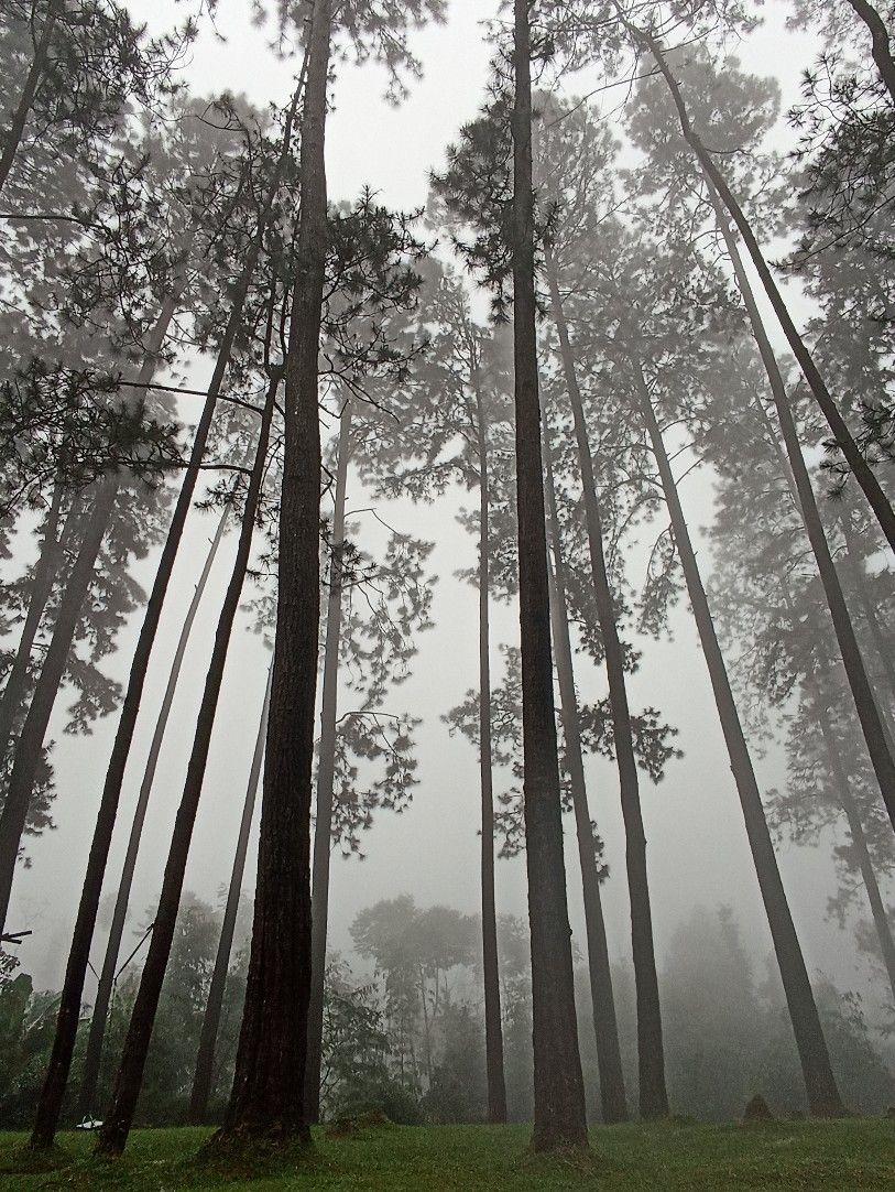 5 Rekomendasi Tempat Healing di Jawa Tengah, Dari Gunung Sampai Pantai